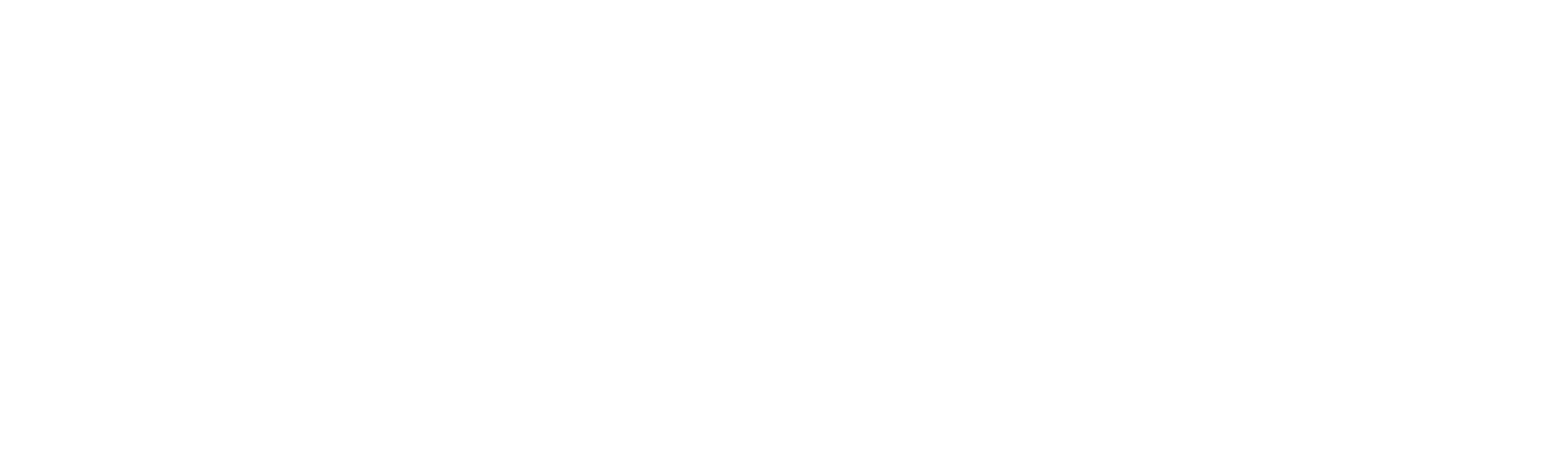 vibrantminds2